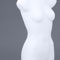 Xemplar Female Torso